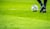 match